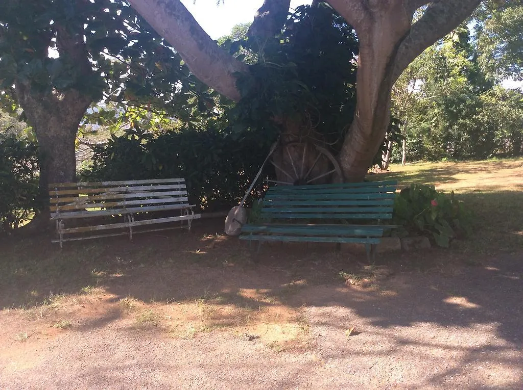 June Plum Bed And Breakfast Mandeville 3*,  Jamajka