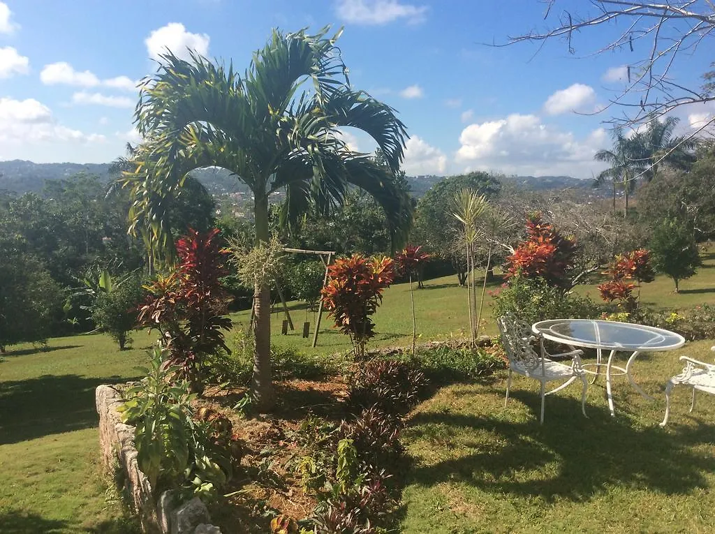 June Plum Bed And Breakfast Mandeville