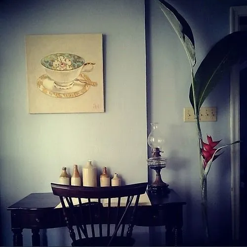 *** Bed & Breakfast June Plum Bed And Breakfast Mandeville Jamajka