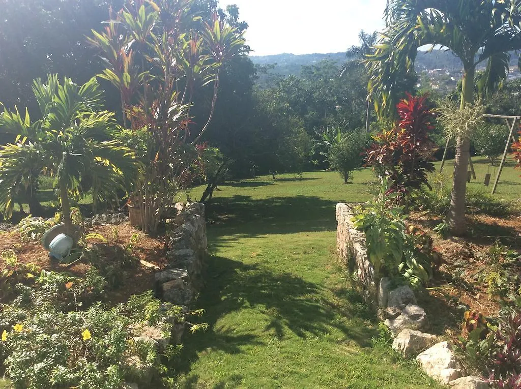 Alojamento de Acomodação e Pequeno-almoço June Plum Bed And Breakfast Mandeville