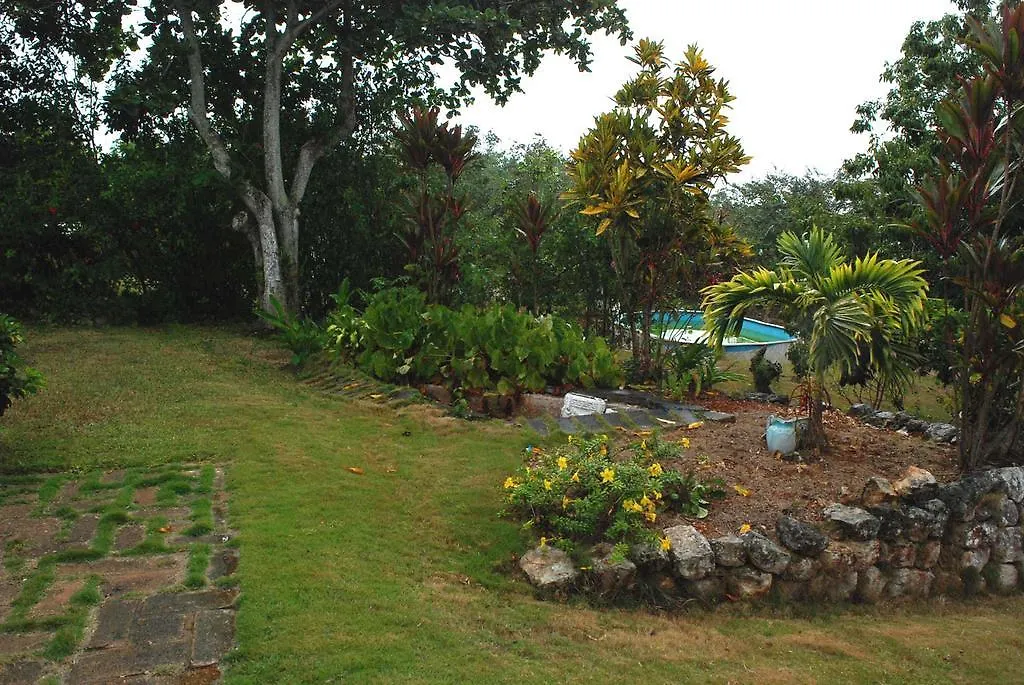 Alojamento de Acomodação e Pequeno-almoço June Plum Bed And Breakfast Mandeville