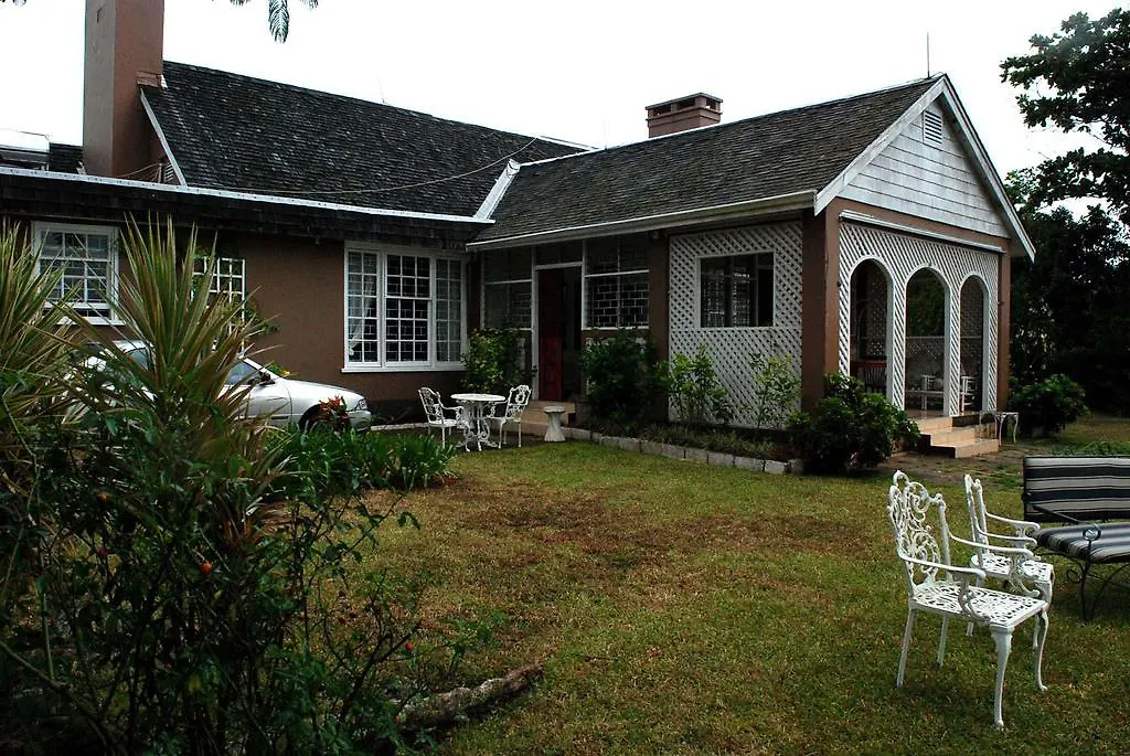 June Plum Bed And Breakfast Mandeville Jamaica